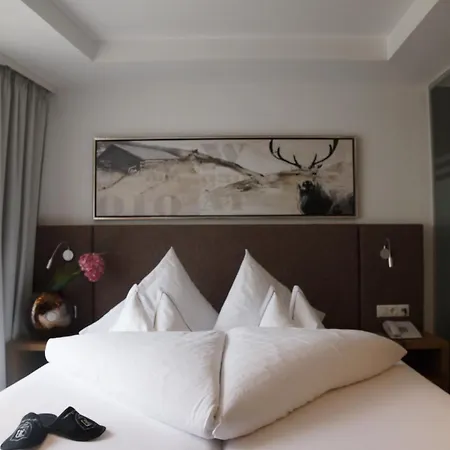 Alpina Hotel 4*