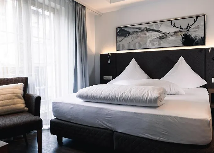 Ξενοδοχείο Alpina Ισγκλ