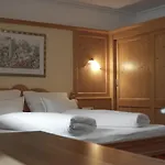Hotel Alpina 4*